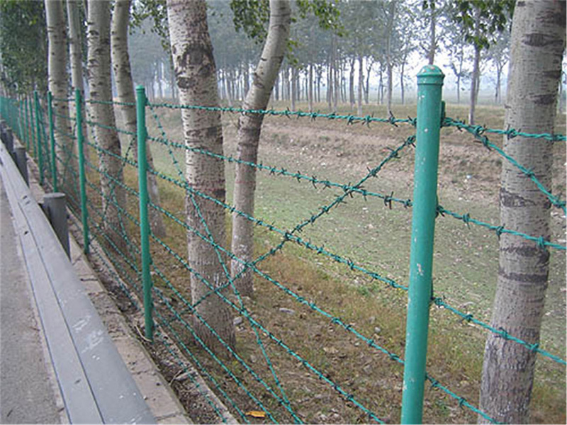 Barbed wire 